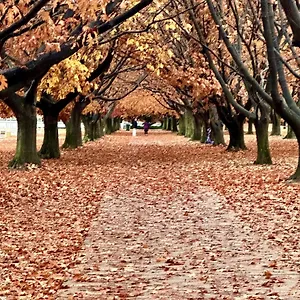  Holiday park Eaglehawk Park